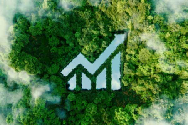 AMD发布下一代人工智能芯片 OpenAI首席执行官萨姆·奥特曼出席发布会